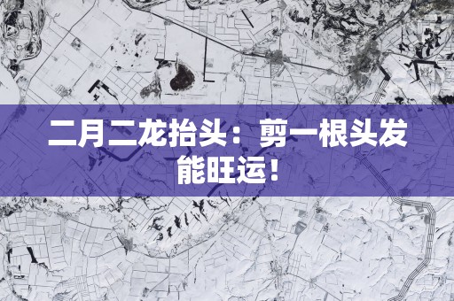 二月二龙抬头：剪一根头发能旺运！