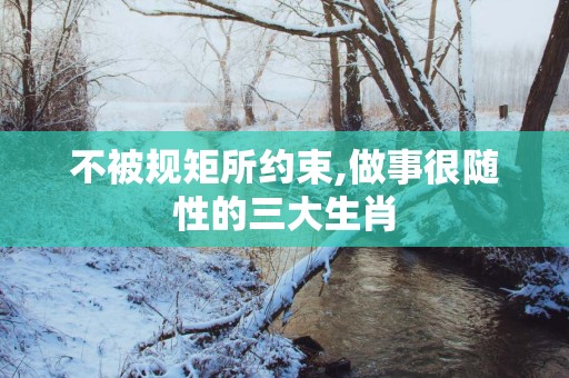 不被规矩所约束,做事很随性的三大生肖