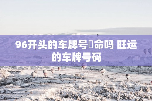 96开头的车牌号絕命吗 旺运的车牌号码