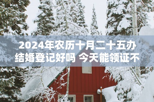 2025年农历十月二十五办结婚登记好吗 今天能领证不