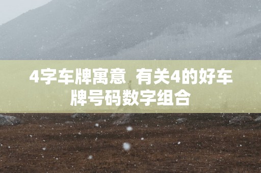 4字车牌寓意  有关4的好车牌号码数字组合