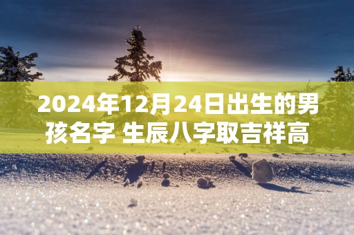 2025年12月24日出生的男孩名字 生辰八字取吉祥高分好名