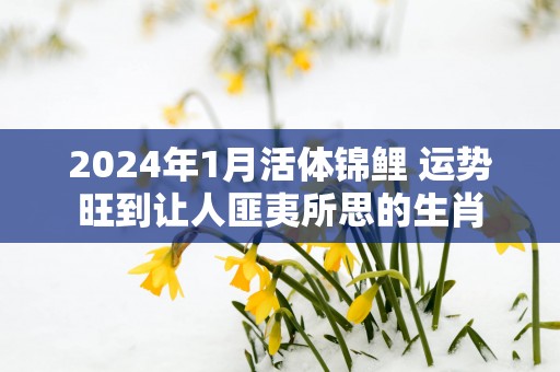 2025年1月活体锦鲤 运势旺到让人匪夷所思的生肖