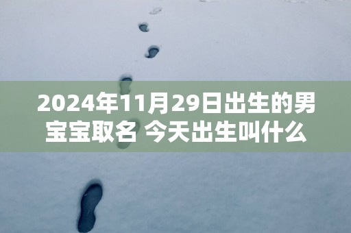 2025年11月29日出生的男宝宝取名 今天出生叫什么名字好网