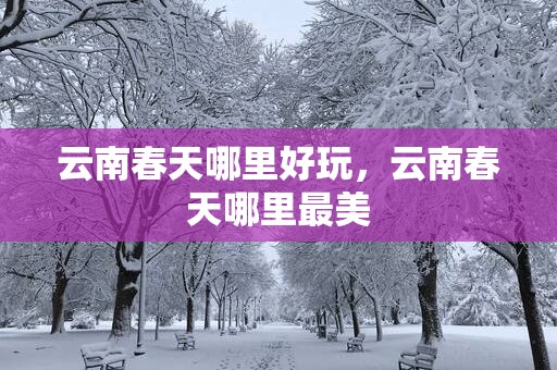 云南春天哪里好玩，云南春天哪里最美