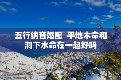 五行纳音婚配  平地木命和涧下水命在一起好吗