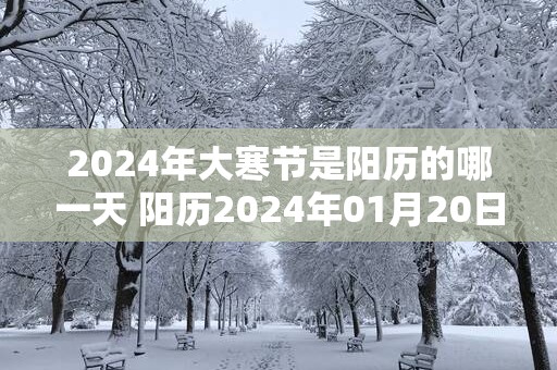 2025年大寒节是阳历的哪一天 阳历2025年01月20日