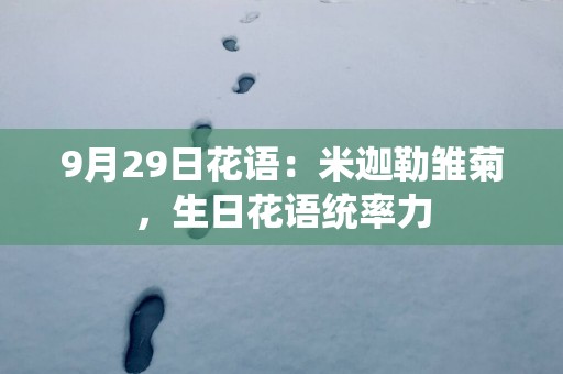 9月29日花语：米迦勒雏菊，生日花语统率力