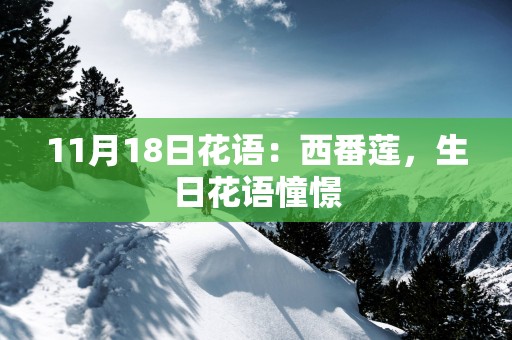 11月18日花语：西番莲，生日花语憧憬