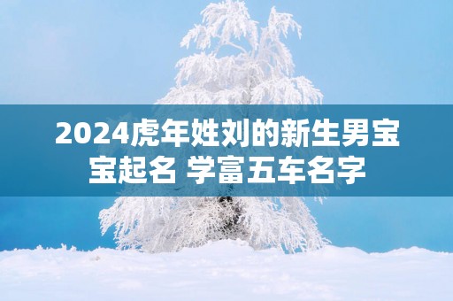 2025蛇年姓刘的新生男宝宝起名 学富五车名字