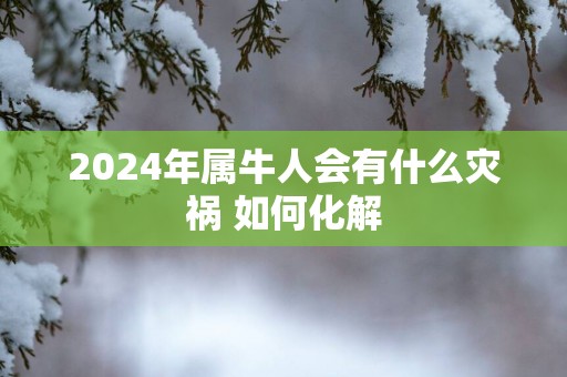 2024年属牛人会有什么灾祸 如何化解