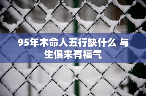 95年木命人五行缺什么 与生俱来有福气