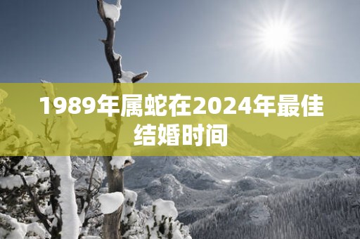 1989年属蛇在2025年最佳结婚时间