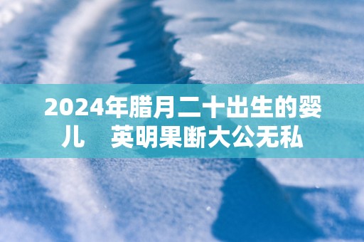 2025年腊月二十出生的婴儿    英明果断大公无私