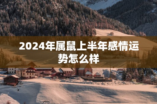 2025年属鼠上半年感情运势怎么样