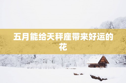五月能给天秤座带来好运的花