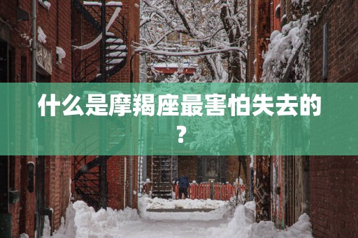 什么是摩羯座最害怕失去的？