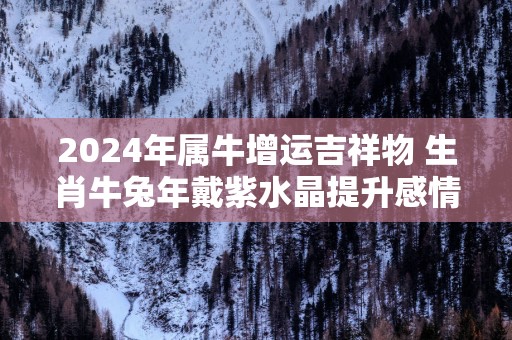 2025年属牛增运吉祥物 生肖牛蛇年戴紫水晶提升感情运