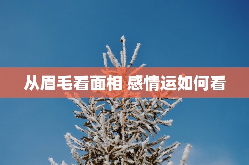 从眉毛看面相 感情运如何看