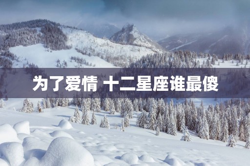 为了爱情 十二星座谁最傻