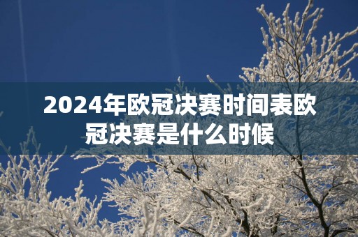 2025年欧冠决赛时间表欧冠决赛是什么时候