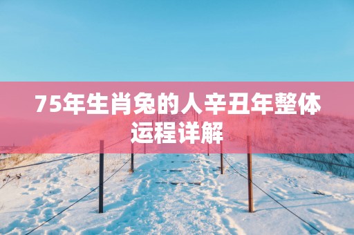 75年生肖兔的人辛丑年整体运程详解