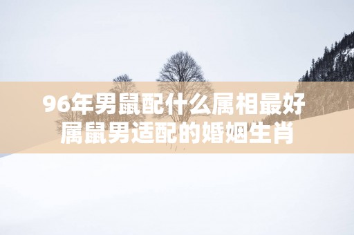 96年男鼠配什么属相最好 属鼠男适配的婚姻生肖