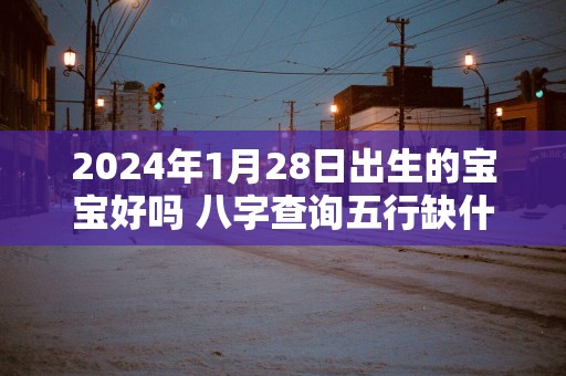 2025年1月28日出生的宝宝好吗 八字查询五行缺什么