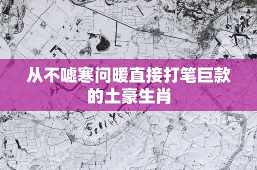 从不嘘寒问暖直接打笔巨款的土豪生肖