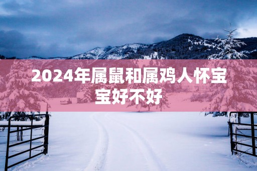 2025年属鼠和属鸡人怀宝宝好不好
