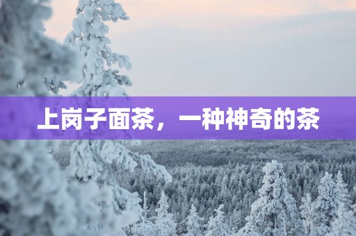 上岗子面茶，一种神奇的茶