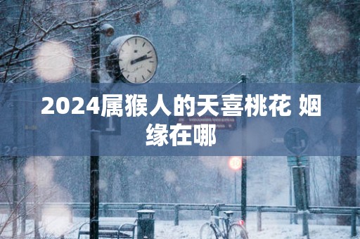 2025属猴人的天喜桃花 姻缘在哪