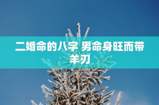 二婚命的八字 男命身旺而带羊刃