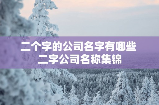 二个字的公司名字有哪些 二字公司名称集锦