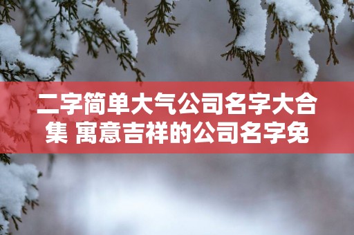 二字简单大气公司名字大合集 寓意吉祥的公司名字免费