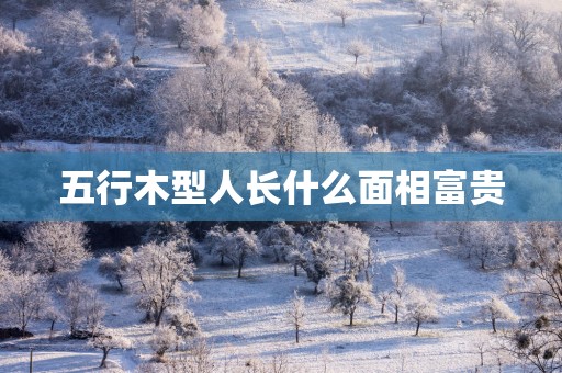 五行木型人长什么面相富贵