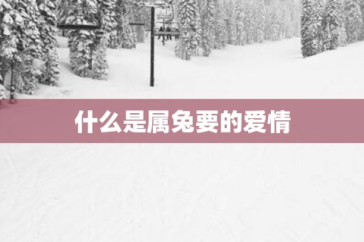 什么是属兔要的爱情