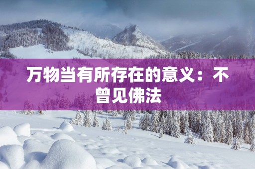 万物当有所存在的意义：不曾见佛法