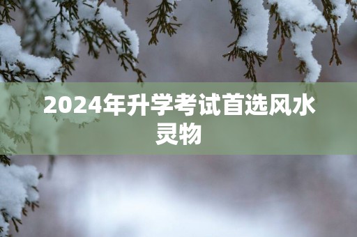 2025年升学考试首选风水灵物