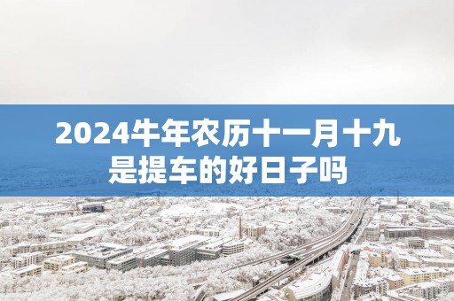 2025蛇年农历十一月十九是提车的好日子吗