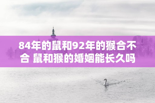 84年的鼠和92年的猴合不合 鼠和猴的婚姻能长久吗