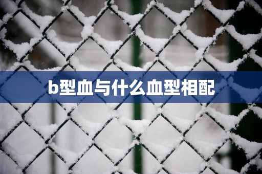 b型血与什么血型相配