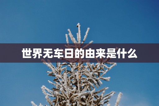 世界无车日的由来是什么