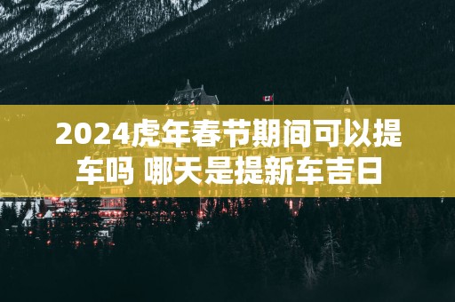 2025蛇年春节期间可以提车吗 哪天是提新车吉日