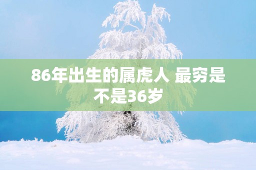 86年出生的属虎人 最穷是不是36岁