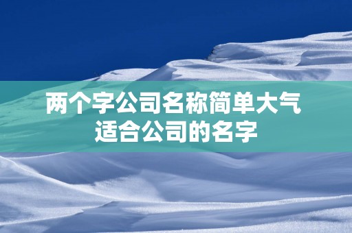 两个字公司名称简单大气 适合公司的名字
