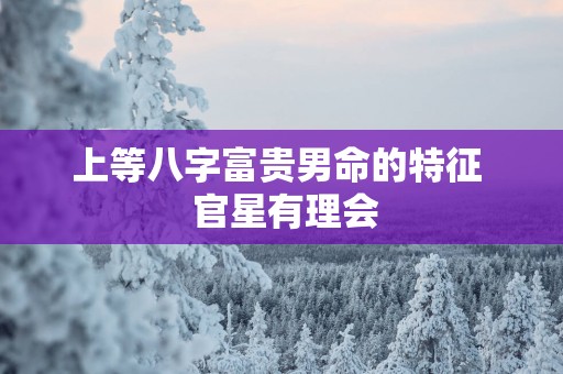 上等八字富贵男命的特征  官星有理会