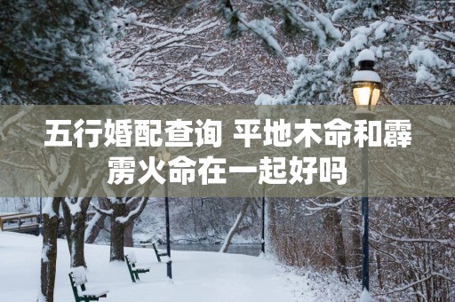 五行婚配查询 平地木命和霹雳火命在一起好吗