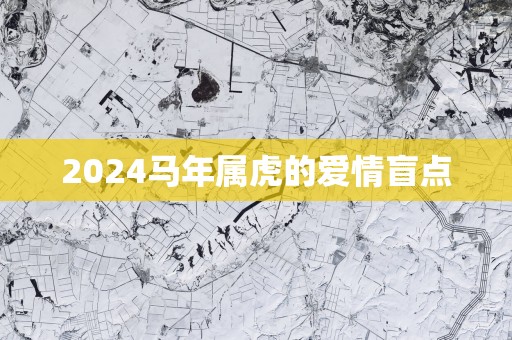 2025马年属虎的爱情盲点