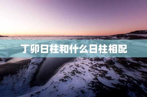 丁卯日柱和什么日柱相配